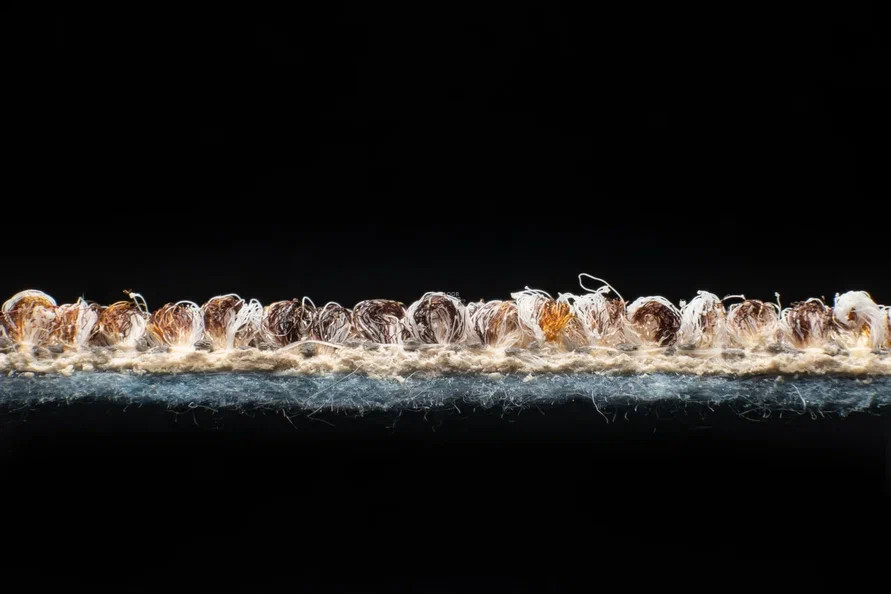 AW Savannah 44 фото 5 | FLOORDEALER