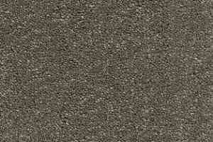 Ковролин AW Vivendi Vibes 29 фото  | FLOORDEALER