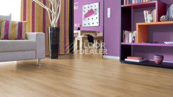 Kronotex Robusto 12мм d4955 Дуб Натуральный Премиум фото 5 | FLOORDEALER