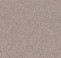 Ковролин Vorwerk Viola 8f01 фото 1 | FLOORDEALER