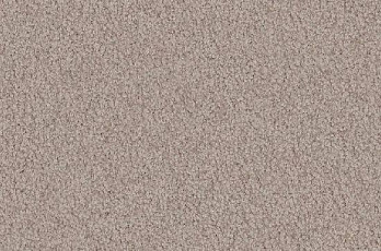 Ковролин Vorwerk Viola 8f01 фото 1 | FLOORDEALER