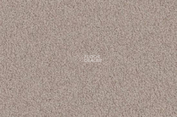 Ковролин Vorwerk Viola 8f01 фото 1 | FLOORDEALER