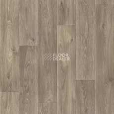 Линолеум Tarkett Комфорт Spenser 5 фото 1 | FLOORDEALER