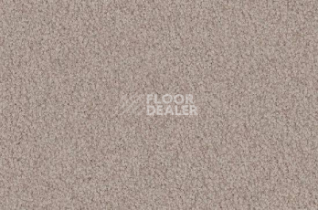 Ковролин Vorwerk Viola 8f01 фото 1 | FLOORDEALER