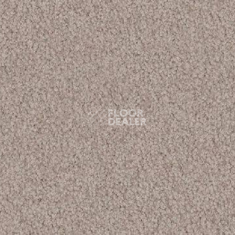Ковролин Vorwerk Viola 8f01 фото 1 | FLOORDEALER