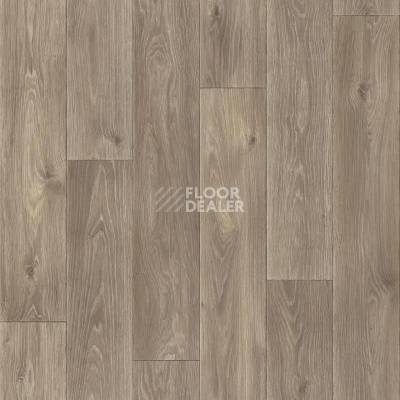 Линолеум Tarkett Комфорт Spenser 5 фото 1 | FLOORDEALER