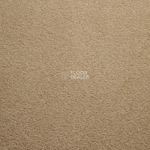Haima Noble 41 фото 12 | FLOORDEALER