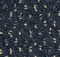 Ковролин Balsan Balmoral Balmoral 980 фото 1 | FLOORDEALER