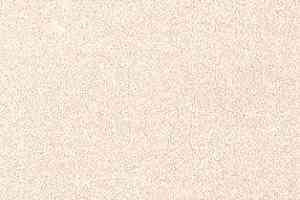 Ковролин AW Grand 03 фото  | FLOORDEALER