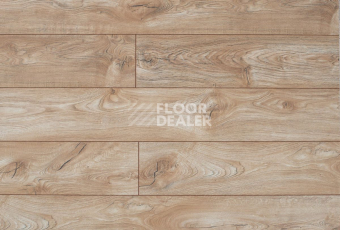 My Step Fortis MS2112 Дуб Цитрин фото 2 | FLOORDEALER