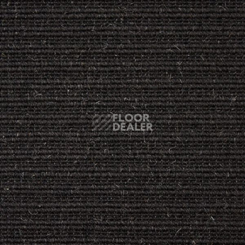 Ковролин Carpet Concept Eco Wool 596017 фото 1 | FLOORDEALER