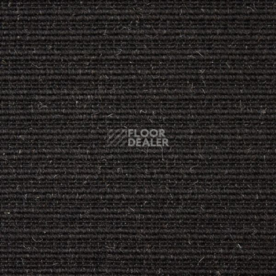 Ковролин Carpet Concept Eco Wool 596017 фото 1 | FLOORDEALER