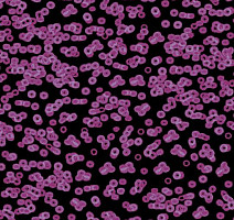 Ковролин Flotex Sottsass Bacteria 990104 фото 1 | FLOORDEALER