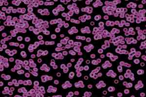 Ковролин Flotex Sottsass Bacteria 990104 фото  | FLOORDEALER