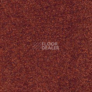 Ковролин AW Spirit 84 фото 1 | FLOORDEALER