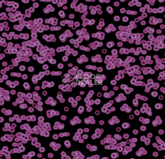Ковролин Forbo Flotex Sottsass Bacteria 990104 фото 1 | FLOORDEALER