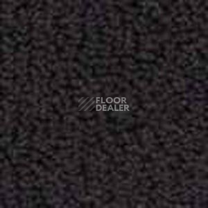 Ковролин Infloor Color 53 195 фото 1 | FLOORDEALER