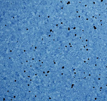 Линолеум Apoluza SportFloor PVC Jiajing BXJJ8021 фото 1 | FLOORDEALER