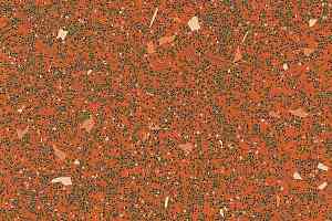 Линолеум Polysafe Astral Pur 4410 фото  | FLOORDEALER