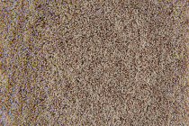 Flotex Colour s 482018 Penang Bamboo фото 2 | FLOORDEALER