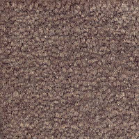 Ковролин Emphatic Beaulieu of America 56583 фото 1 | FLOORDEALER