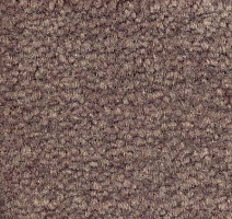 Ковролин Emphatic Beaulieu of America 56583 фото 1 | FLOORDEALER