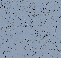 Линолеум Polyflor OHMega Ec 6004 фото 1 | FLOORDEALER