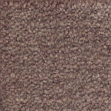 Ковролин Emphatic Beaulieu of America 56583 фото 1 | FLOORDEALER