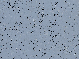 Линолеум Polyflor OHMega Ec 6004 фото 1 | FLOORDEALER