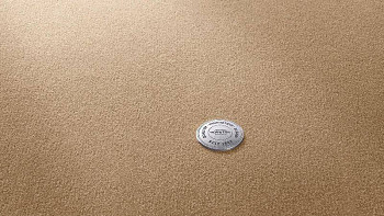 Ковролин Vorwerk Superior 1063 Vorwerk 8k14 фото 1 | FLOORDEALER