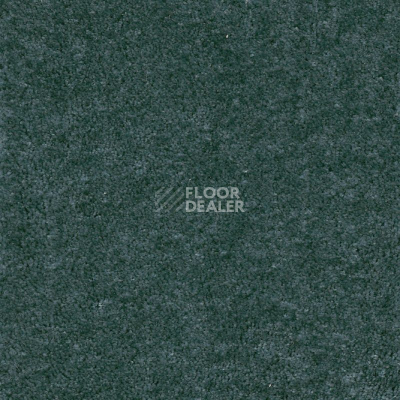 Ковролин AW Masquerade Fedone 73 фото 1 | FLOORDEALER