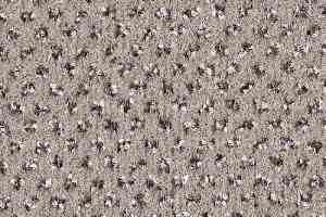 Ковролин Balsan Signature 705 фото  | FLOORDEALER