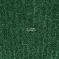 Ковролин Sintelon Ekvator 56953 фото 1 | FLOORDEALER