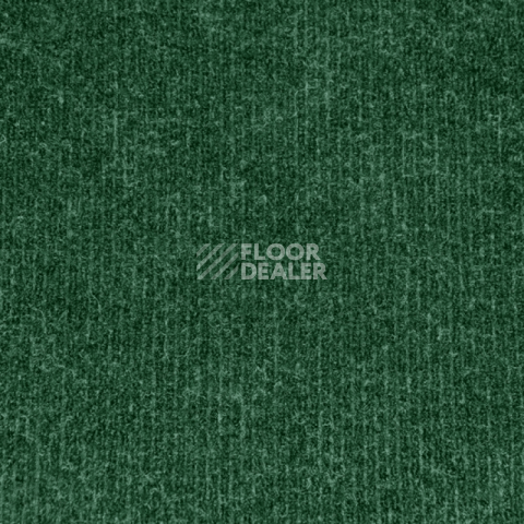 Ковролин Sintelon Ekvator 56953 фото 1 | FLOORDEALER