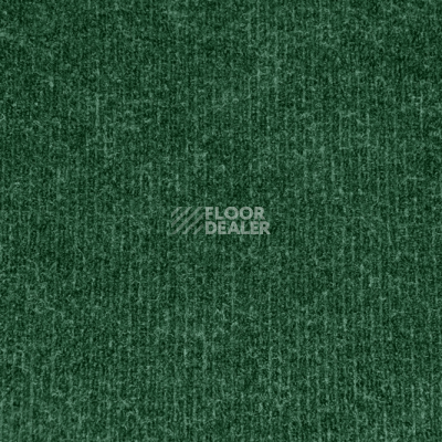 Ковролин Sintelon Ekvator 56953 фото 1 | FLOORDEALER