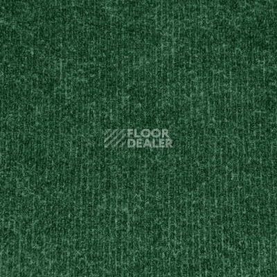 Ковролин Sintelon Ekvator 56953 фото 1 | FLOORDEALER