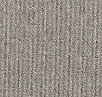 Ковровая плитка Desso Natural Nuances 9220 фото 1 | FLOORDEALER