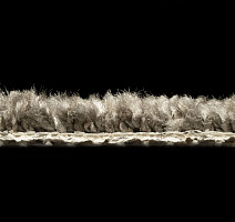 AW Masquerade Certosa 44 фото 4 | FLOORDEALER