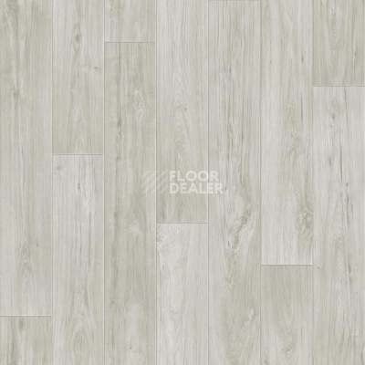 Линолеум Tarkett Комфорт KADET 1 фото 1 | FLOORDEALER