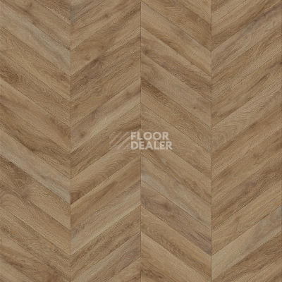 Линолеум Tarkett Evolution Chevron 5 фото 1 | FLOORDEALER