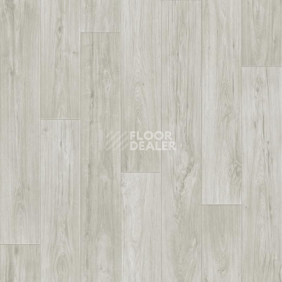 Линолеум Tarkett Комфорт KADET 1 фото 1 | FLOORDEALER