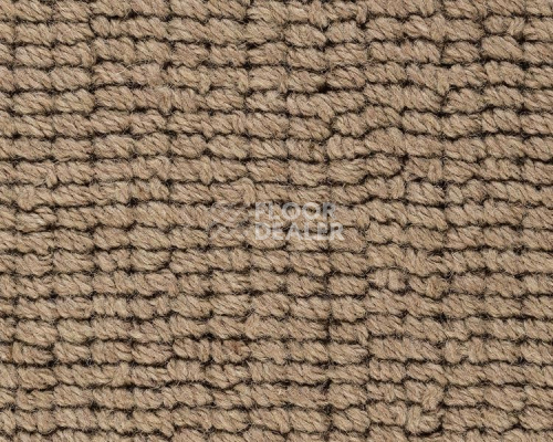 Ковролин Best Wool Pure Livingstone 134 фото 1 | FLOORDEALER