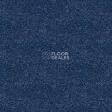 Ковролин Tapibel Spirit 8890 фото 1 | FLOORDEALER