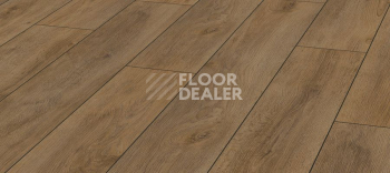 Ламинат Kronotex Robusto 12мм d4957 Дуб Коричневый Премиум фото 1 | FLOORDEALER