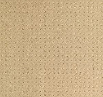 Ковролин Balsan Territoires Atrium 621 фото 1 | FLOORDEALER