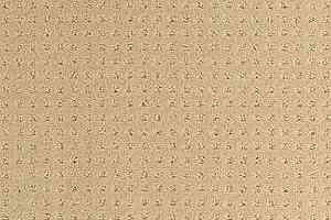 Ковролин Balsan Territoires Atrium 621 фото  | FLOORDEALER