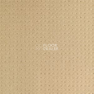 Ковролин Balsan Territoires Atrium 621 фото 1 | FLOORDEALER