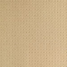 Ковролин Balsan Territoires Atrium 621 фото 1 | FLOORDEALER