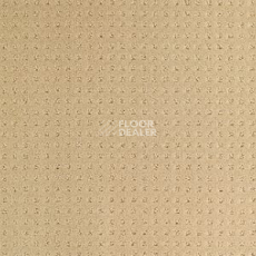 Ковролин Balsan Territoires Atrium 621 фото 1 | FLOORDEALER