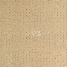 Ковролин Balsan Territoires Atrium 621 фото 1 | FLOORDEALER